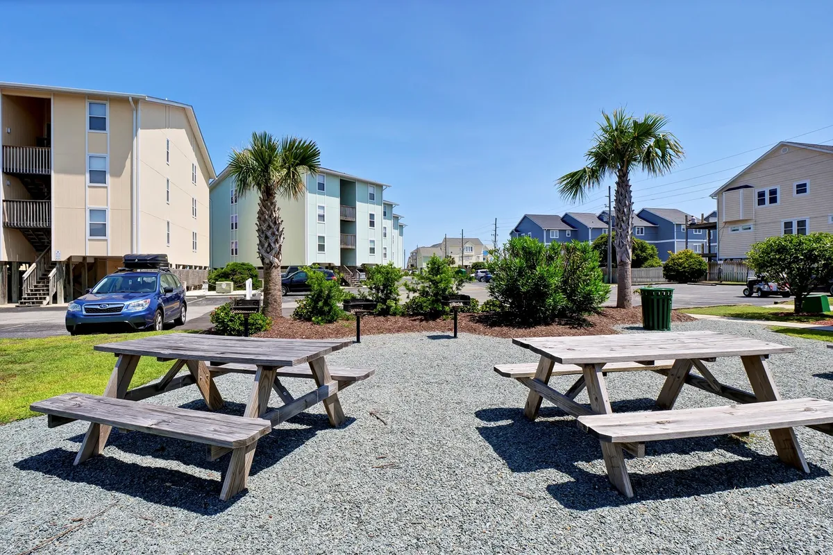 An inviting outdoor communal area with picnic tables under palm trees, surrounded by lush greenery and a clear blue sky. The setting is perfect for group gatherings and casual outdoor fun.